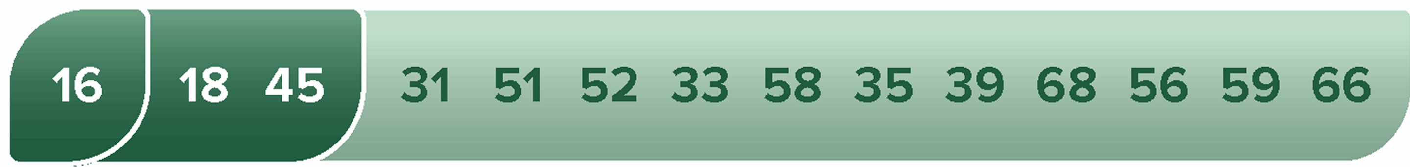 Aptima HPV 16 18:45 Genotype Assay