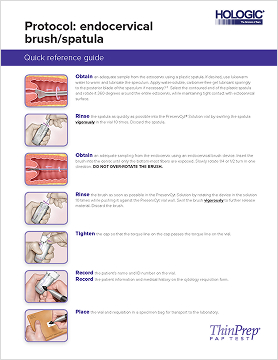 Brush/Spatula Collection Guide